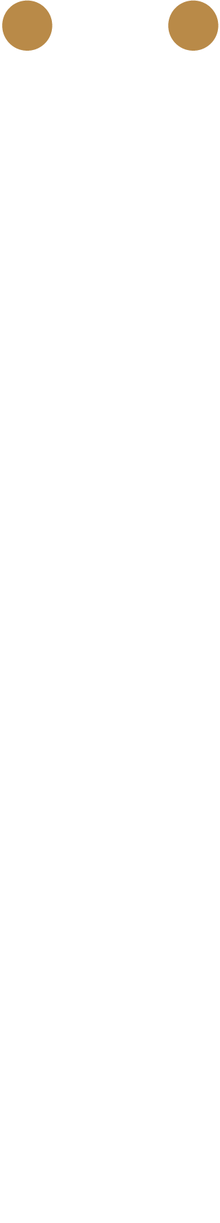 ●五感で楽しむ見て、聞いて、触って、味わう、体験型イベント●初めての方でも安心して楽しめる日本文化体験